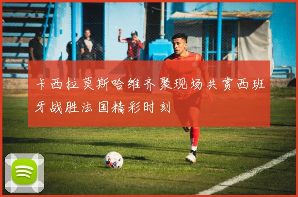 卡西拉莫斯哈维齐聚现场共赏西班牙战胜法国精彩时刻